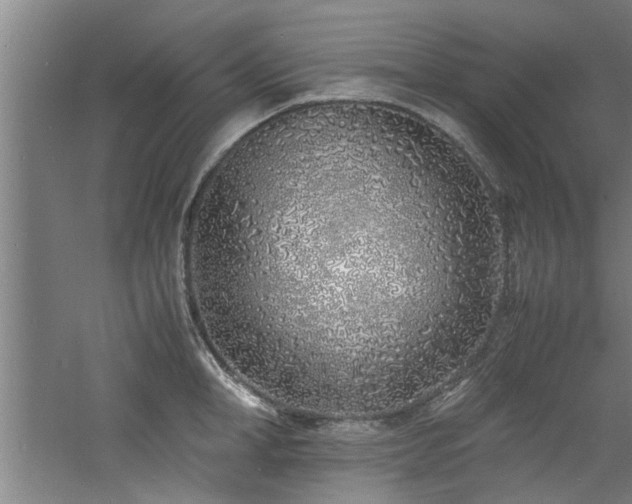 X0000060780998200511101335