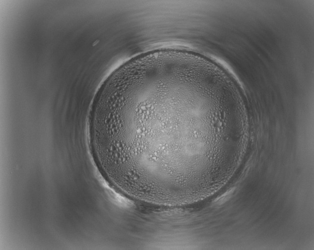 X0000060780999200511101335