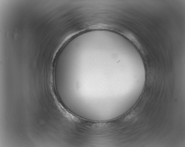 X0000060781000200511101335