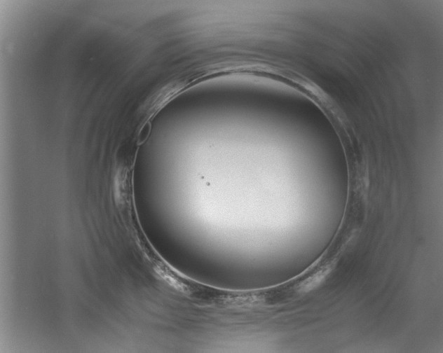 X0000060781001200511101335