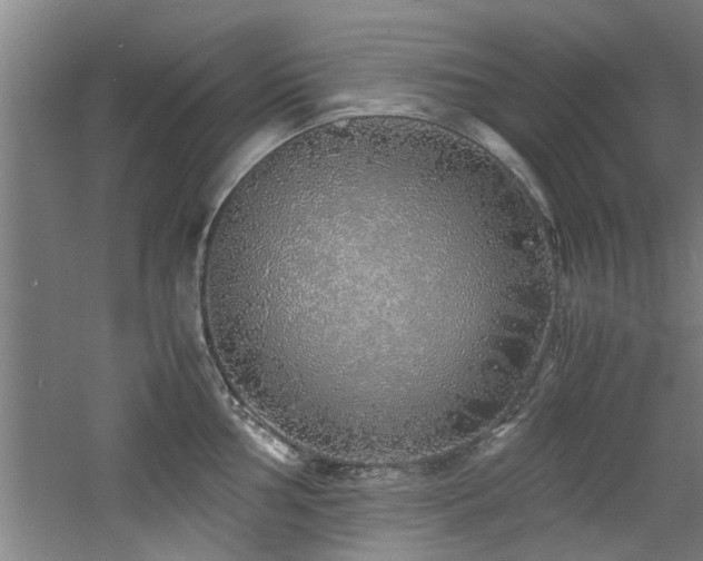 X0000060781002200511101335