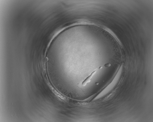 X0000060781004200511101335