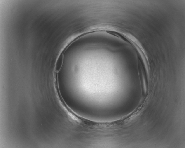 X0000060781005200511101335