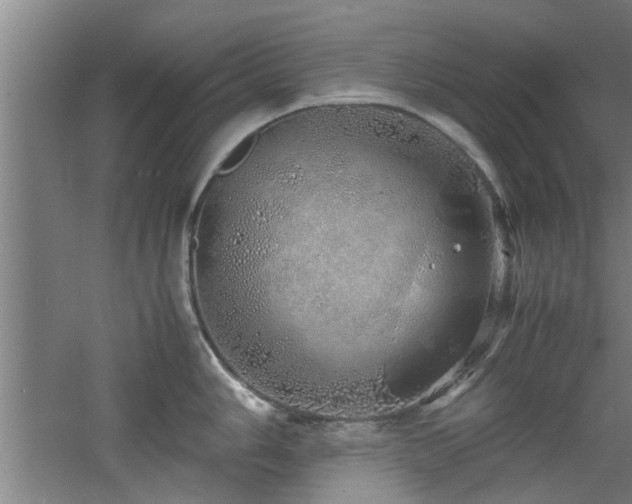 X0000060781006200511101335