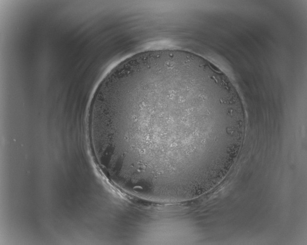 X0000060781008200511101335