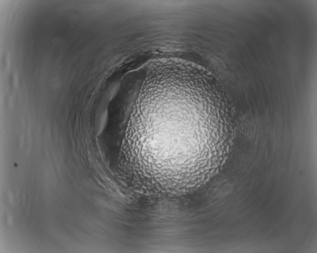 X0000060781009200511101334