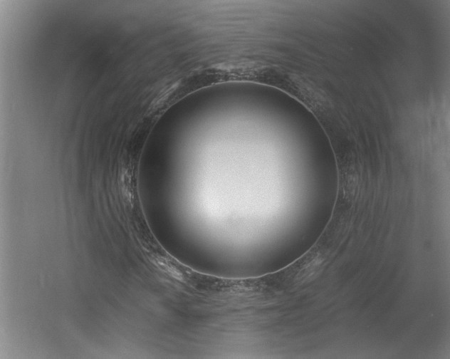 X0000060781010200511101334