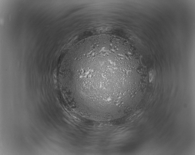 X0000060781011200511101334