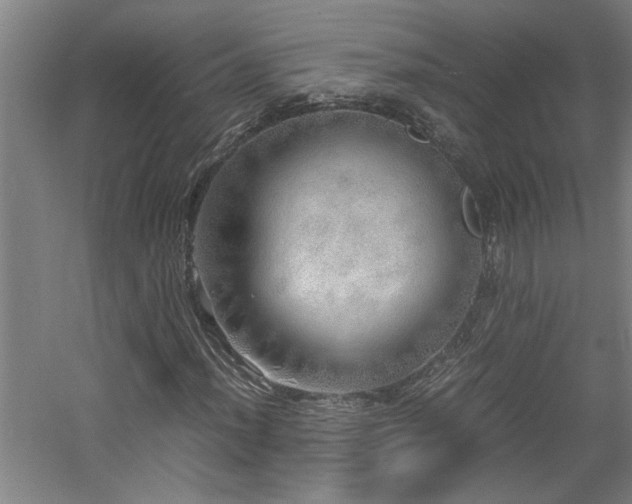 X0000060781012200511101334