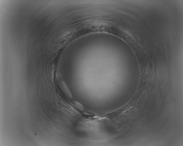 X0000060781013200511101334