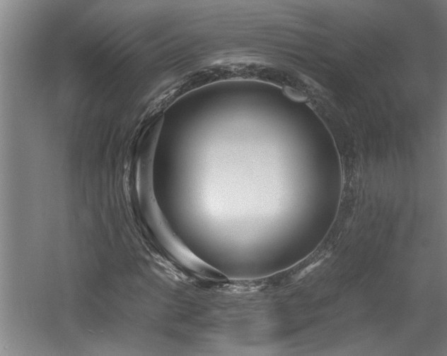 X0000060781014200511101334