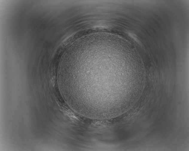 X0000060781015200511101334