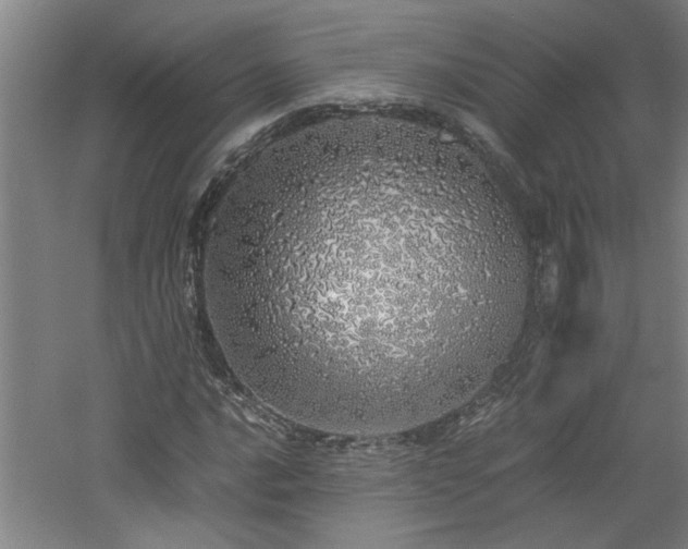 X0000060781016200511101334