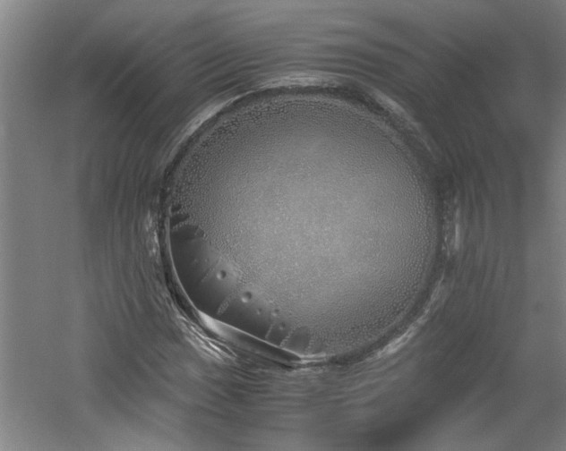 X0000060781017200511101334