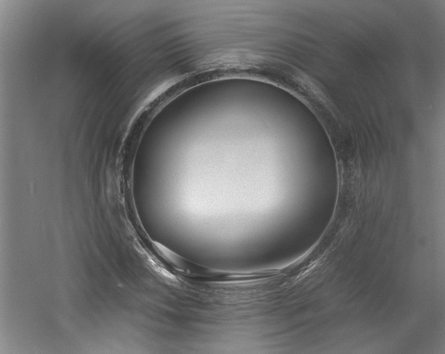 X0000060781018200511101334