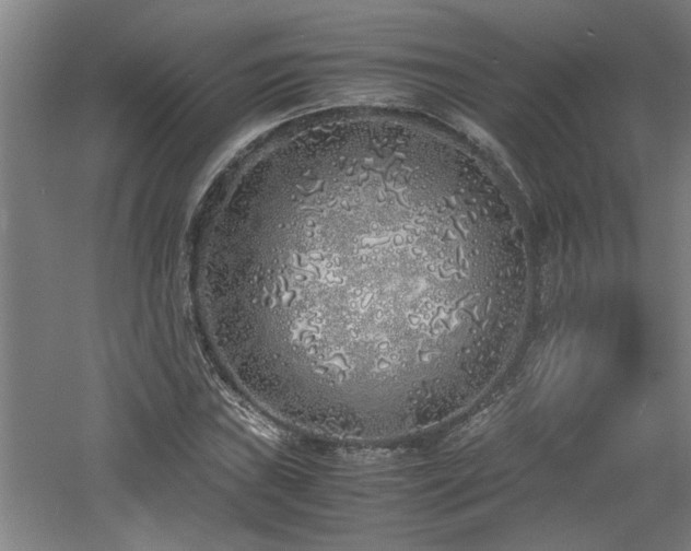 X0000060781019200511101334