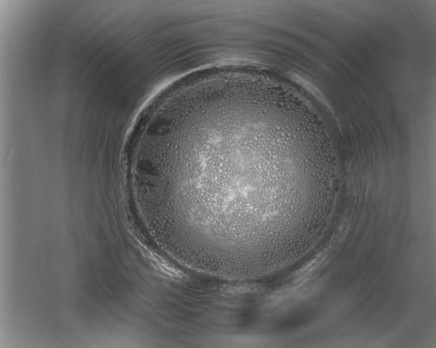 X0000060781021200511101334