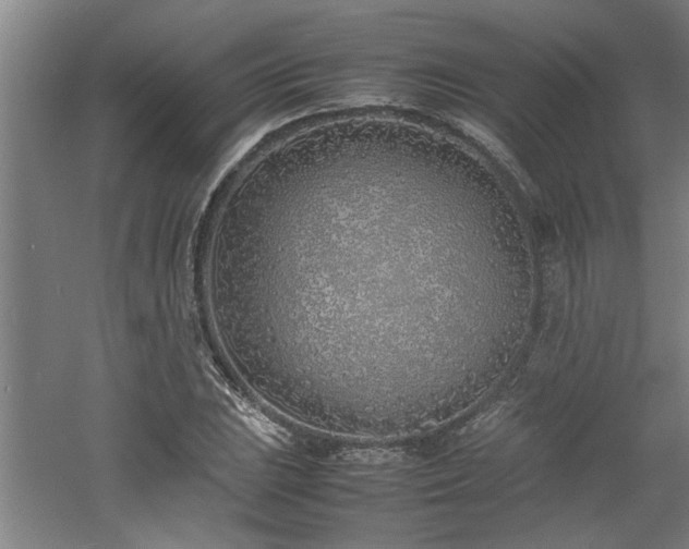 X0000060781023200511101334