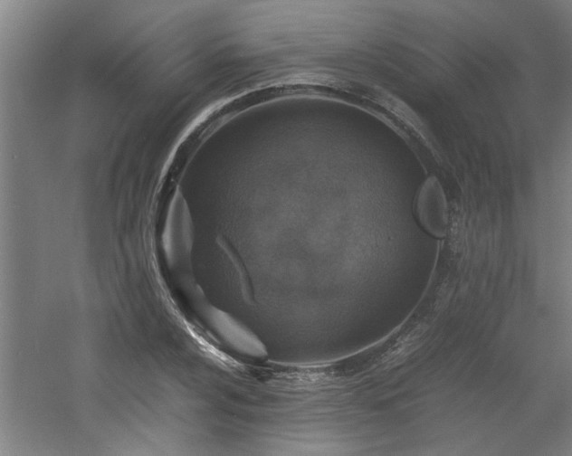 X0000060781024200511101334