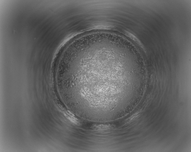 X0000060781027200511101334