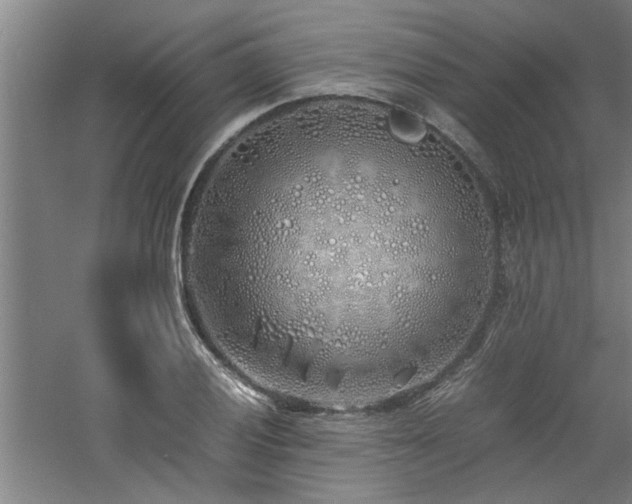 X0000060781028200511101334