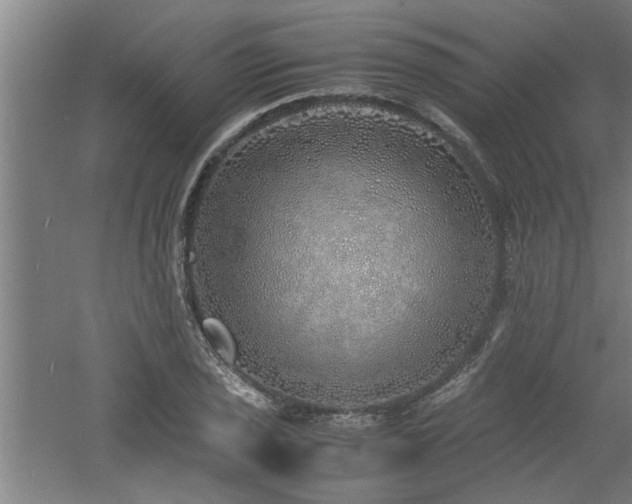 X0000060781029200511101334