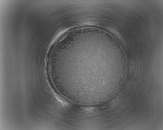 X0000060781031200511101334