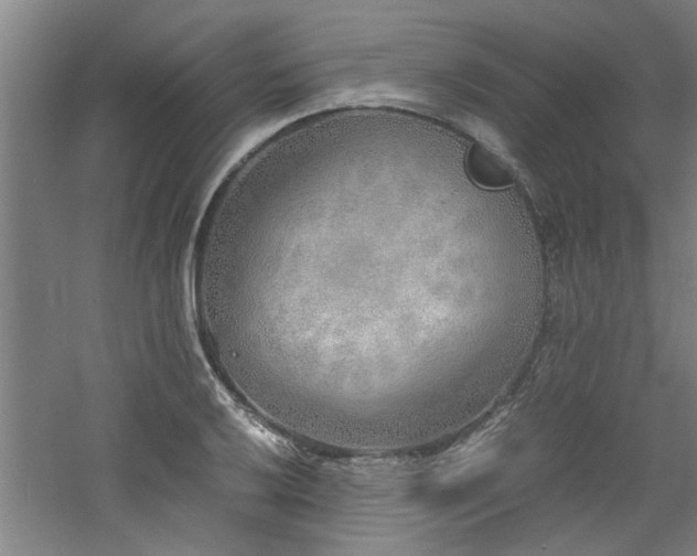 X0000060781032200511101334