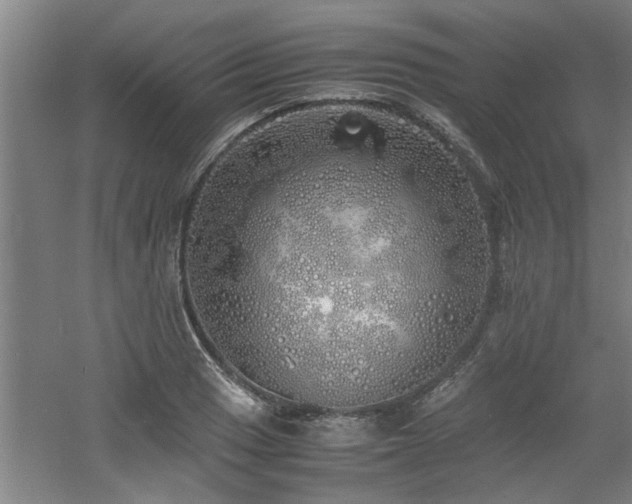 X0000060781033200511101334