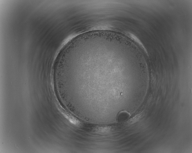 X0000060781035200511101334