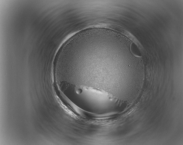 X0000060781036200511101334