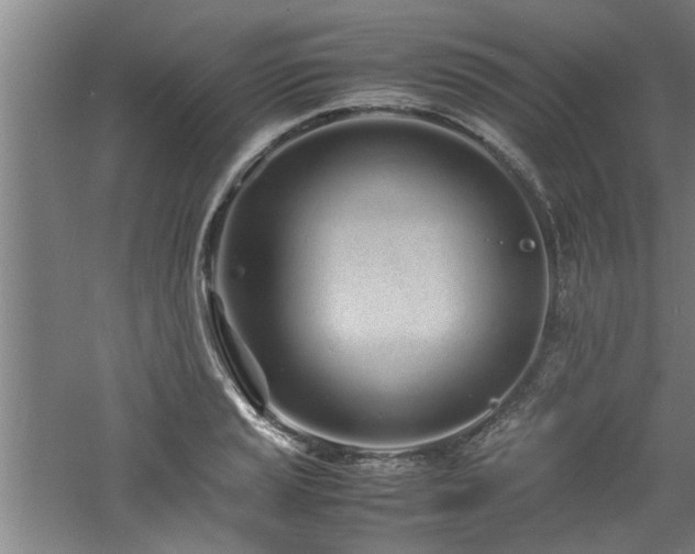 X0000060781037200511101334