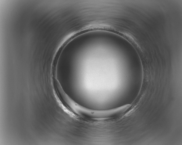 X0000060781038200511101334