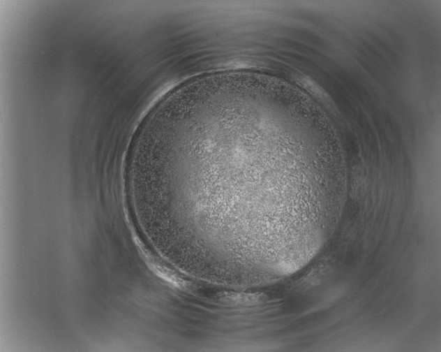 X0000060781039200511101334