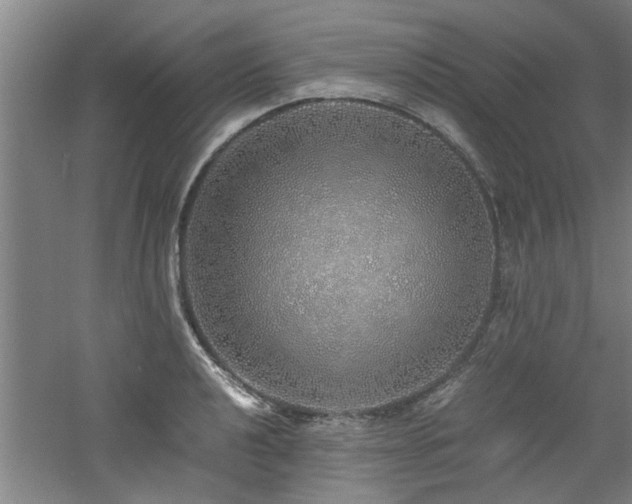 X0000060781040200511101334