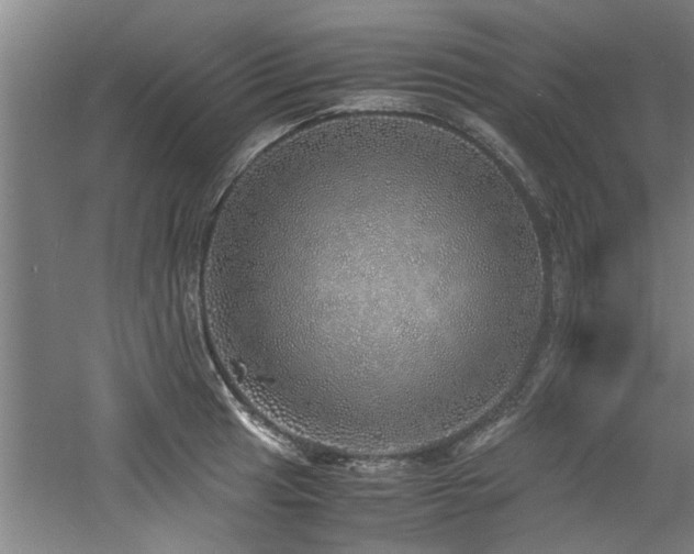 X0000060781041200511101334