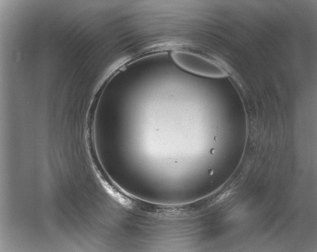 X0000060781042200511101334