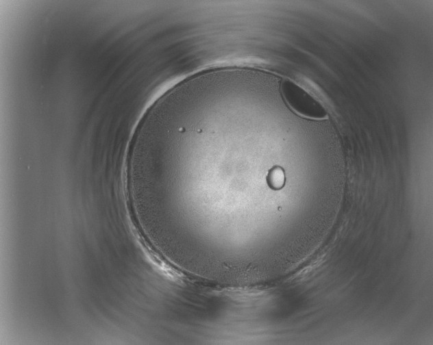 X0000060781044200511101334