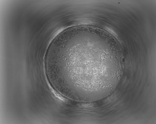 X0000060781047200511101334