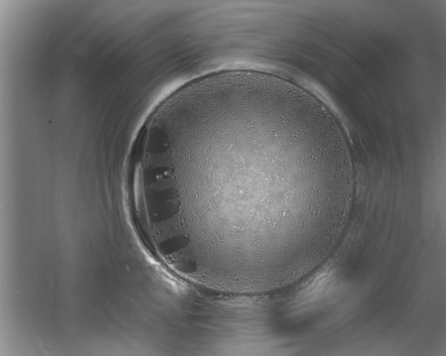 X0000060781048200511101334