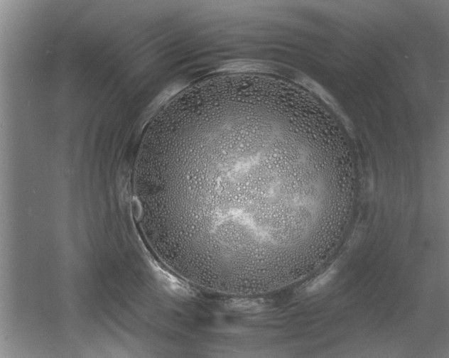 X0000060781049200511101334