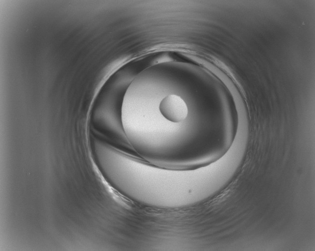 X0000060781050200511101335