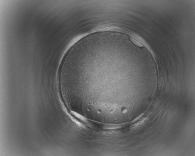 X0000060781053200511101335