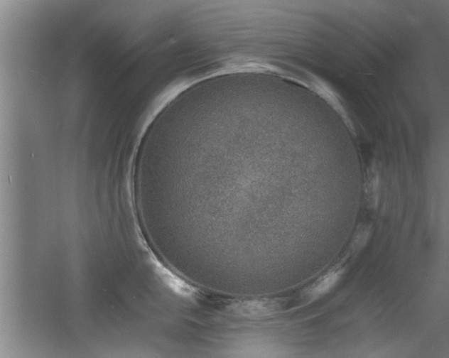 X0000060781054200511101335