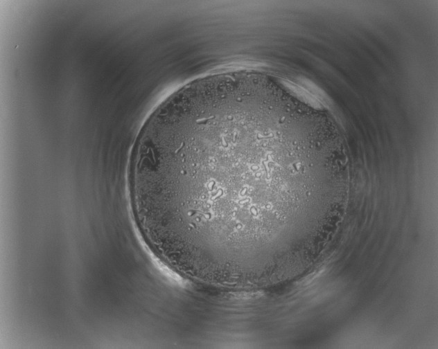 X0000060781055200511101335