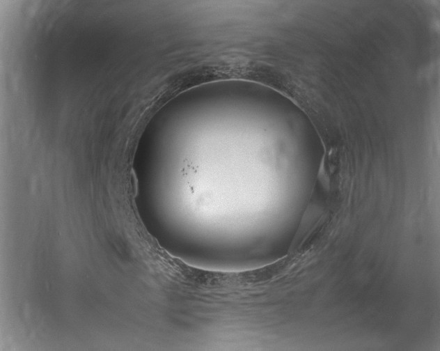 X0000060781057200511101334