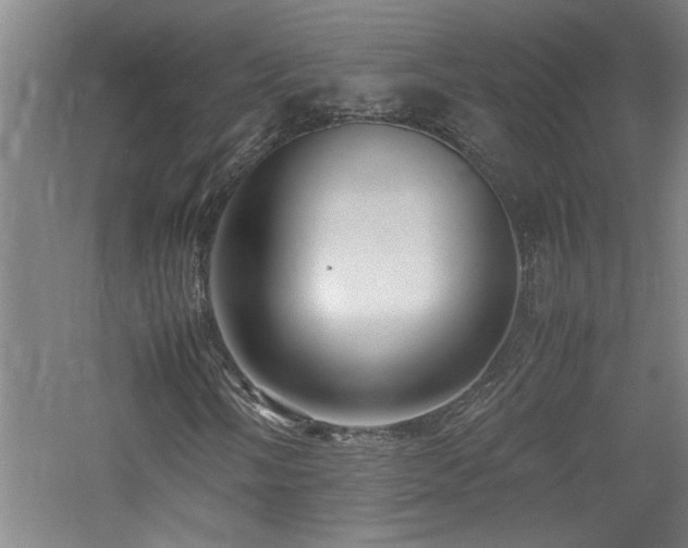 X0000060781058200511101334