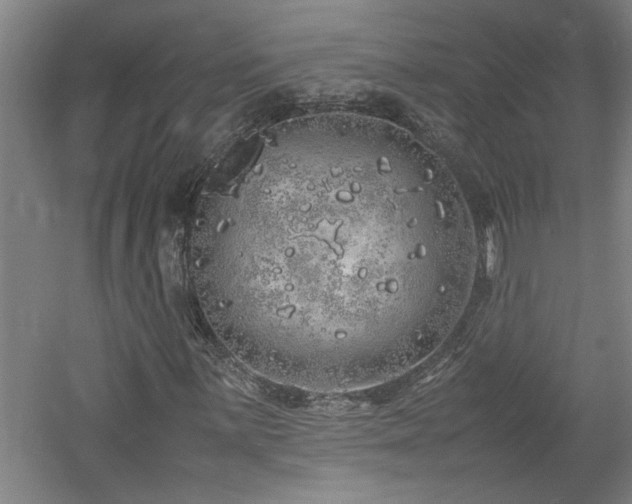 X0000060781059200511101334