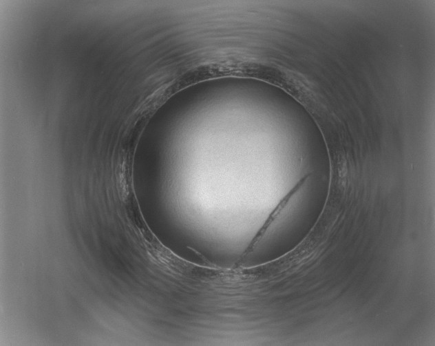 X0000060781060200511101334