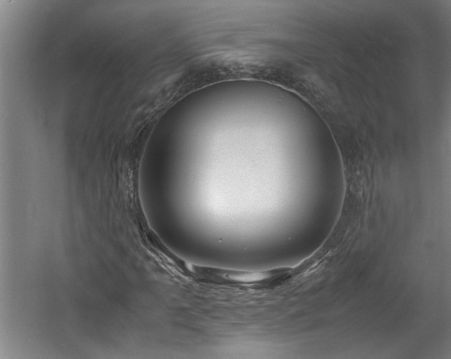 X0000060781061200511101334